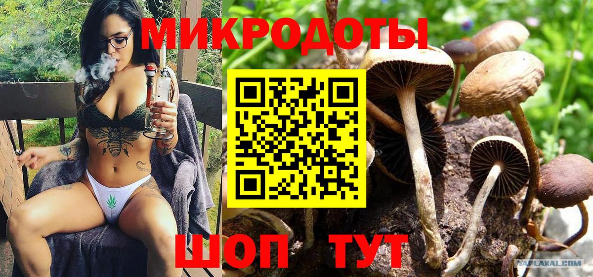 Пыть-Ях  Галлюциногенные грибы мицелий  Вход с VPN 